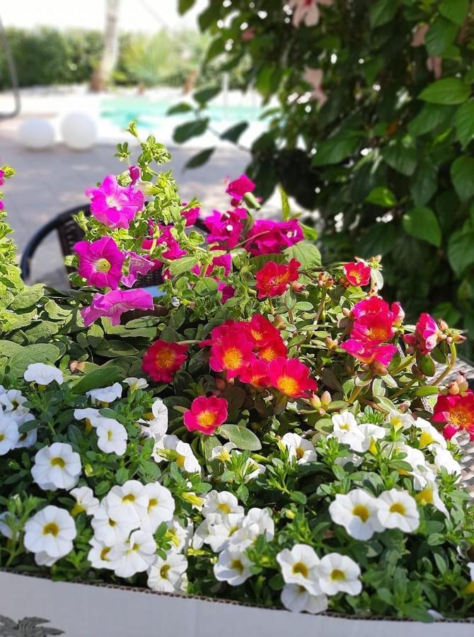 Villetta Del Salento Exclusive B&B Gallipoli Dış mekan fotoğraf