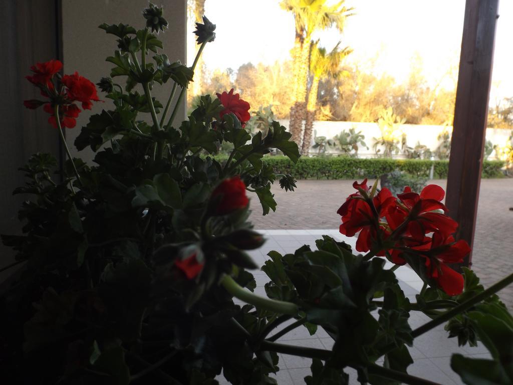 Villetta Del Salento Exclusive B&B Gallipoli Dış mekan fotoğraf